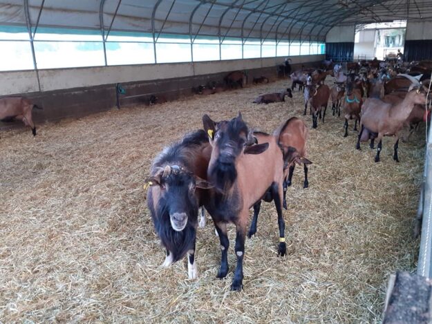 119118700_2953404344763423_1146559293171781314_n