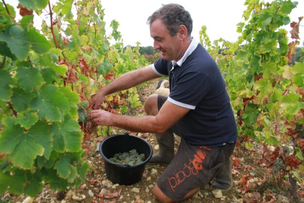 DOMAINE DE L’EPINEAU