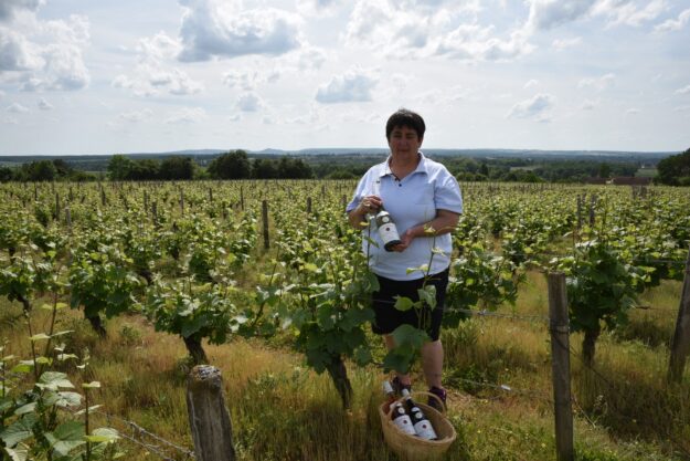 MARIE CHRISTINE VENEAU DOMAINE DE SAINT PERE la Belle Nièvre