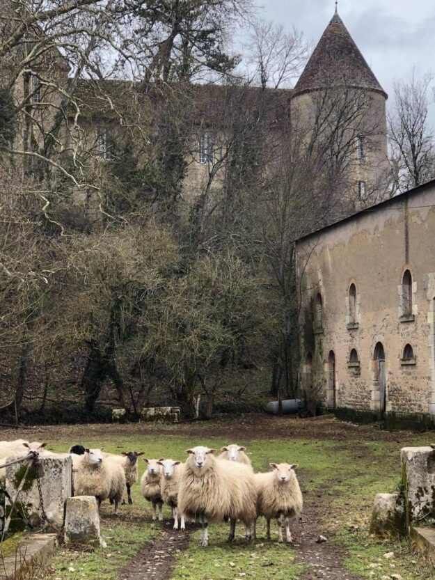 FERME DU COLOMBIER