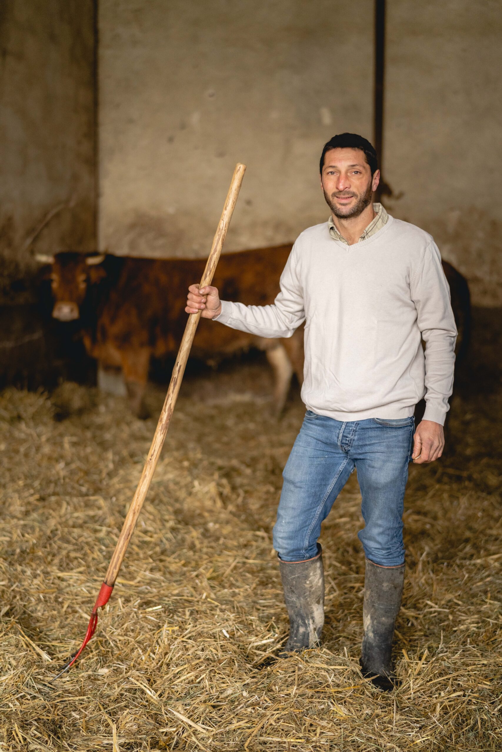 Benoit Guillaumin, Eleveur de bovins