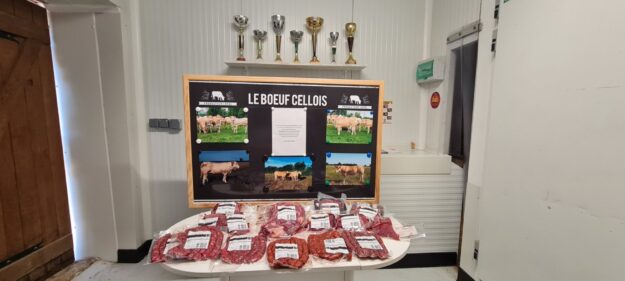 LE BOEUF CELLOIS la Belle Nièvre