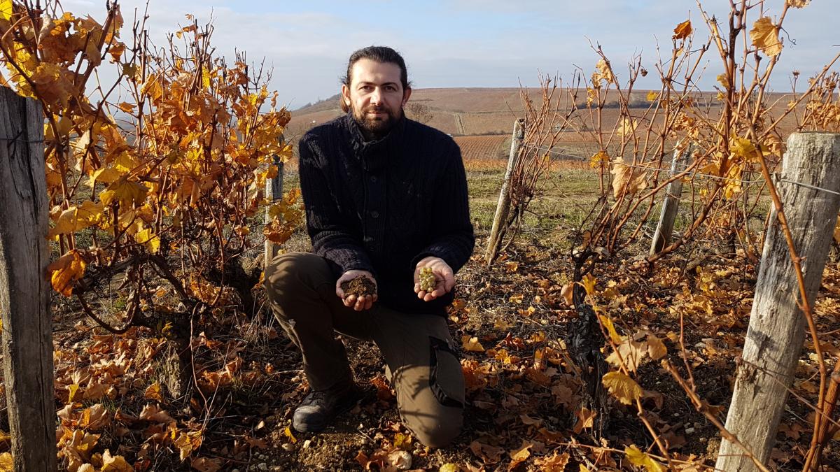 Famille Bardin, Domaine des Chaumes